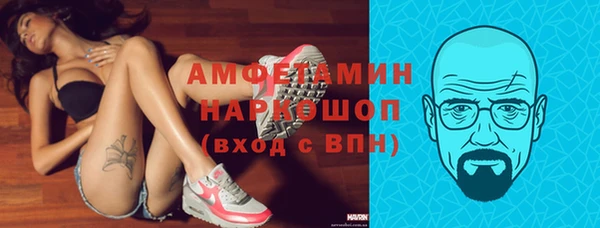 крисы Аркадак