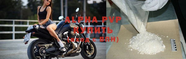 крисы Аркадак