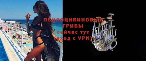 крисы Аркадак