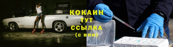 крисы Аркадак