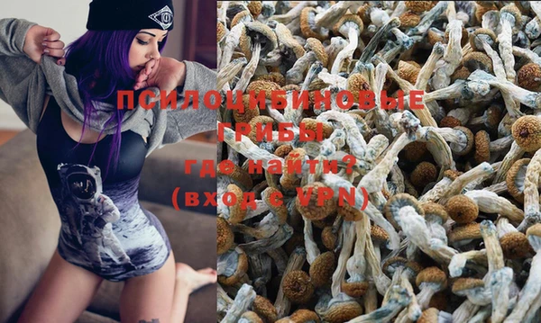 крисы Аркадак